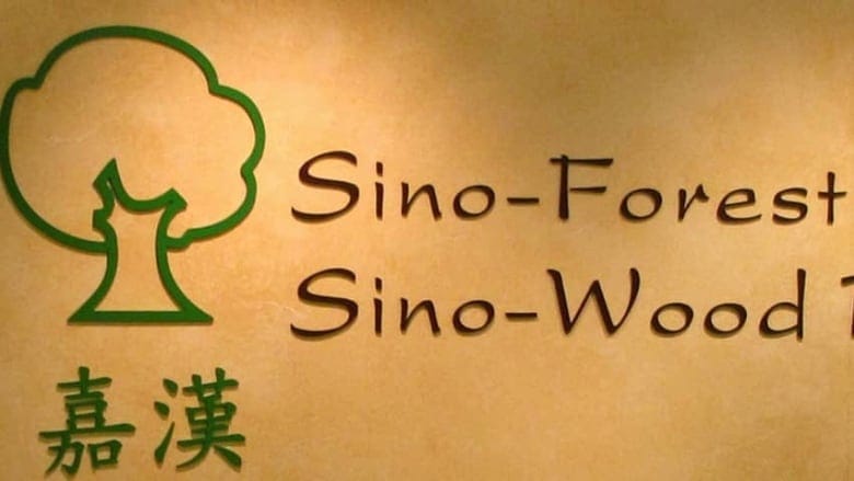 Former Sino-Forest CEO was 'controlling mind' behind alleged frauds: lawyer  | CBC News