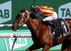 Deep-dive 2022-28: Tabcorp