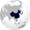 The East Asian development model