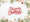 Season's Greetings